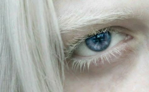 With Them, White Eyelashes, The Ancient Magus Bride, Purple Eyes, 인물 사진, White Aesthetic, Shadowhunters, Cool Eyes, White Hair