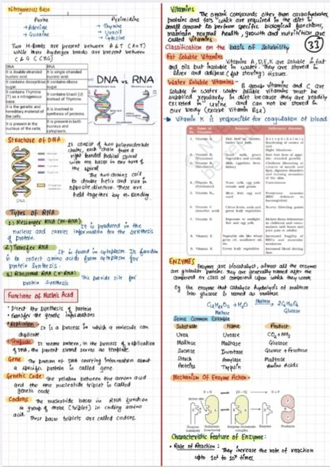 Biomolecules Notes Chemistry Class 12, Biomolecules Notes Chemistry, Bio Molecules, Organic Notes, Chemistry Flashcards, Jee Notes, Class 12 Chemistry Notes, 12 Chemistry Notes, Chemistry Short Notes