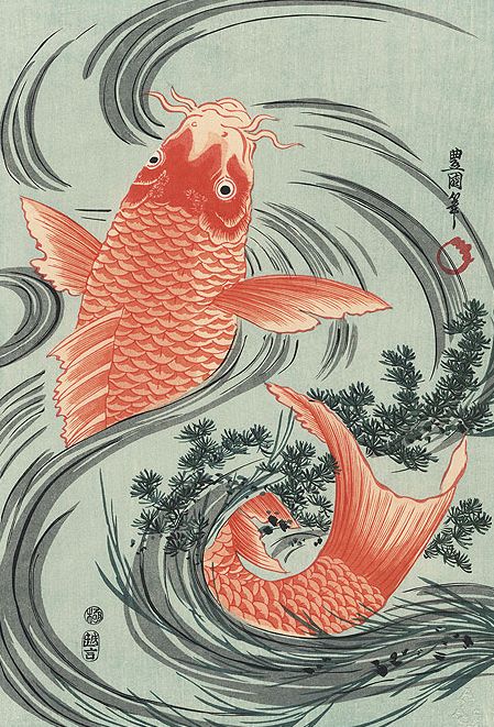 Woodblock print, circa year 1800, Japan., by artist Toyokuni I.   A large, strong, red carp jumps from the swirling water — a classic Japanese design. A brilliant image of the large fish in a rich, orange color against the flowing curves of a rushing stream, with tangles of grasses sweeping around its tail. Toyokuni I did very few nature scenes, and this is one of his best. A wonderful image and a very rare subject to find in reprint, beautifully detailed Red Carp, Koi Art, Japanese Fish, Carpe Koi, Japanese Art Prints, Japanese Koi, Japanese Artwork, Traditional Japanese Art, Two Fish