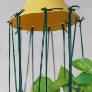 Growing Money, Money Plant, Diy Upcycling, Home Vegetable Garden, Hanging Planter, Flower Lover, Hanging Planters, Vegetable Garden, Plastic Bottles