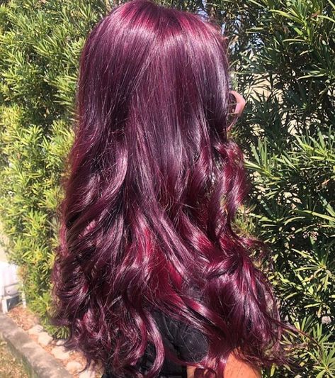 Cranberry Purple Hair, Maroon Hair Dye Ideas, Dark Red Hair With Purple Undertones, Maroon Violet Hair, Burgundy Purple Balayage, Plum And Blue Hair, Blackberry Red Hair, Cherry Coke Red Hair Color Burgundy Purple, Purplish Red Hair Color