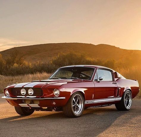 Classic 1967 Ford Mustang Shelby GT500  MY FUTURE CAR!!!🤘🗺🖤 Gt500 Shelby, Mobil Mustang, Muscle Cars Mustang, Vintage Auto's, 1967 Ford Mustang, 1967 Mustang, Gt 500, Mustang Gt500, Shelby Mustang