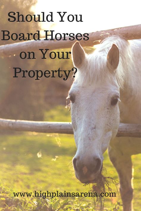 Horse Boarding Ideas, Horse Farm Ideas Stables, Horse Boarding Business, Horse Pasture Ideas, Stable Management, Horse Business, Horse Farm Ideas, Horse Barn Plans, Equestrian Helmets