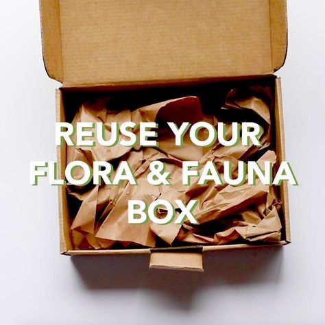 Flora & Fauna Recycling Program with TerraCycle Essential Oils For Pregnancy, Eco Home, Plastic Free July, Konjac Sponge, Sign Up Page, Pregnancy Essentials, Vegan Products, Cling Wrap, Menstrual Cup