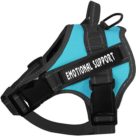 Service Dog Harness, Kitten Harness, Walking Harness, Service Dog Vests, Small Dog Harness, Vest Harness, Cat Leash, Emotional Support Dog, Support Dog