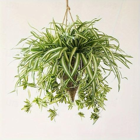 Spider Plant Indoor, Outdoor Fish Tank, Hanging Orchid, Cheap Artificial Plants, Artificial Hanging Plants, Spider Plant, Artificial Plants Outdoor, Home Wedding Decorations, Aquarium Decorations