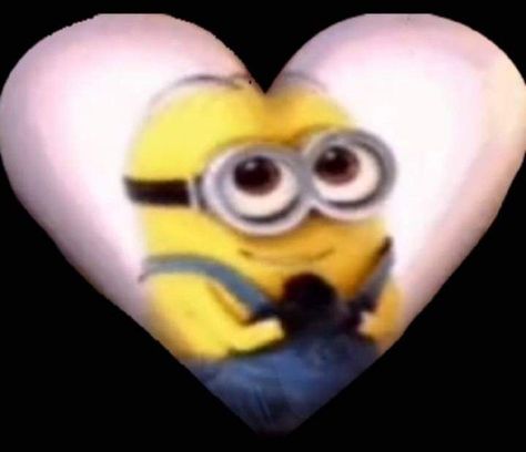 Minions Minions, Minions Love, Cute Minions, Lol Memes, Silly Images, Minions Funny, Silly Pictures, Funny Reaction Pictures, Despicable Me