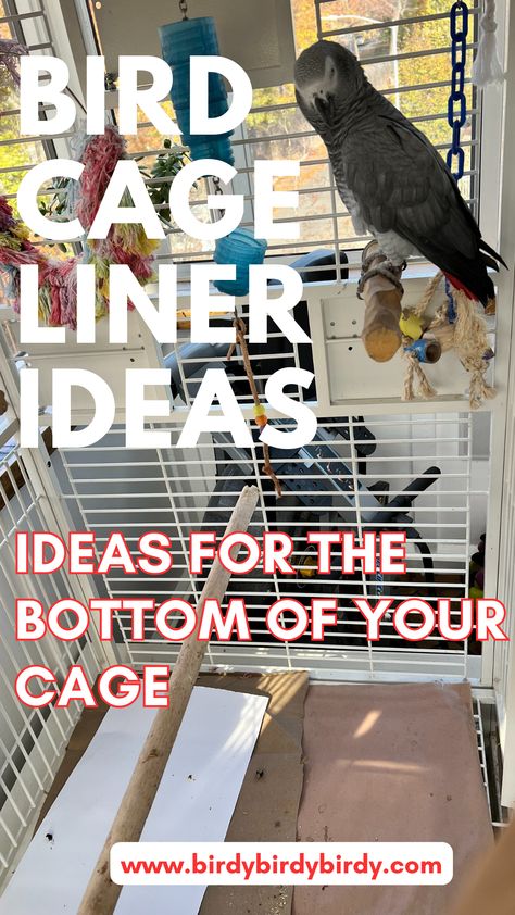 bird cage liner ideas  with a photo of an african grey in a cage Parrot Cage Setup Ideas, Bird Cage Set Up Ideas, Diy Bird Cage Cover, Parakeet Cage Ideas Diy, Indoor Bird Room Ideas, Bird Cage Ideas Diy, Diy Parakeet Cage, Parakeet Cage Ideas, Bird Room Ideas