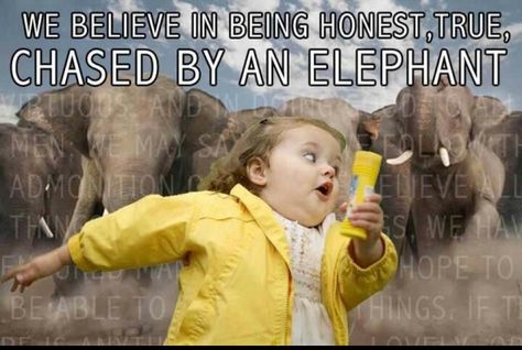 We believe in being honest, true, chased by an elephant..I mean chaste and benevolent. Lds Funny, Mormon Jokes, Mormon Humor, Mormon Memes, Lds Memes, Church Humor, Church Memes, Mormon Quotes, Articles Of Faith