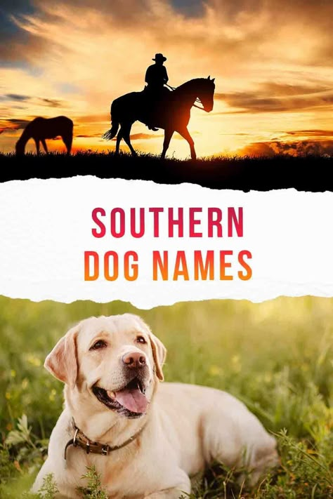 southern dog names Cute Country Dog Names, Country Puppy Names, Western Pet Names, Rustic Dog Names, Western Names For Dogs, Female Hunting Dog Names, Female Dog Names Country, Girl Hunting Dog Names, Western Dog Names Boy