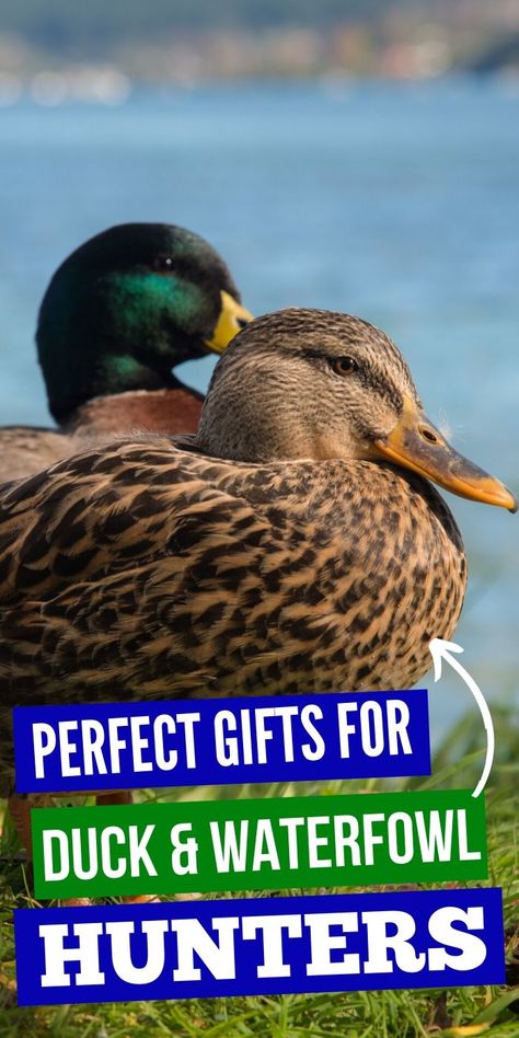 Best Perfect Gifts for Duck & Waterfowl Hunters | Fantastic Gifts For Hunters | Hunting Gifts For Men or Women | Duck Hunter Presents | Waterfowl Hunter Presents | #gifts #giftguide #presents #ducks #waterfowl #hunter #uniquegifter Unique Gifts For Hunters, Duck Hunter Gifts, Hunting Gifts For Men, Duck Hunting Gifts, Hunting Essentials, Hunting Birthday, Bird Hunter, Goose Hunting, Duck Gifts