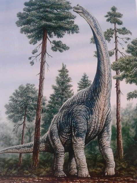 Dinosaur Photography, Long Neck Dinosaur, Dinosaur Era, Prehistoric Wildlife, Dinosaur Wallpaper, Dinosaur Pictures, Dinosaur Illustration, Jurassic World Dinosaurs, Prehistoric World