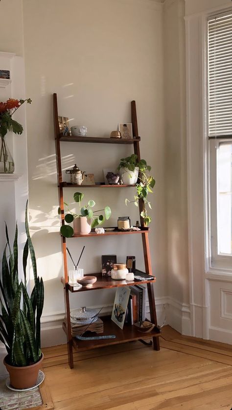 Home Plant Design, Master Bedrooms Shelves, Ladder Book Shelf Ideas, Plant Stand In Bedroom, Bookshelf With Plants And Books, Seattle Home Aesthetic, Ladder Shelf Styling Living Room, Ladder Bookshelf Aesthetic, Ladder Shelves Bedroom