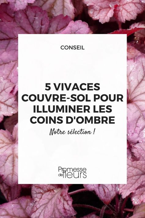 5 vivaces couvre-sol pour illuminer les coins d'ombre (1) Plant A Garden, Green Heart, A Garden, Garden Plants, Paradise, Green