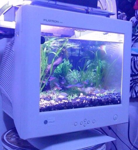 Vaporwave Fashion™ on Instagram: “AESTHETIC FISHTANK vaporwavefashion.com . . . . .  #vaporwave #vaporwaveart #vaporart #vaporwavefashion #vaporwaveaesthetic…” New Retro Wave, Frutiger Aero, Vaporwave Aesthetic, Neon Aesthetic, Mia 3, Soft Grunge, Retro Futurism, Purple Aesthetic, Retro Aesthetic