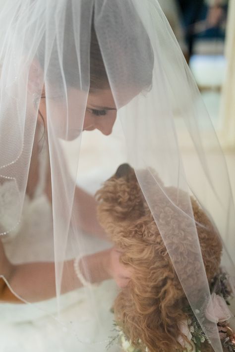 Wedding And Dog Photos, Dog Wedding Photo Ideas, Bride With Dog Photo Ideas, Service Dog At Wedding, Wedding Shoot With Dogs, Bride Dog Pictures, First Look With Dog Wedding, Wedding Pic With Dog, Bridal Pictures With Dog