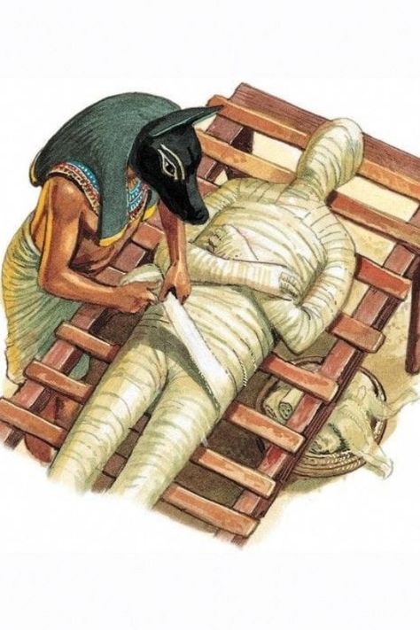 Ancient Egypt Mummies, Ancient Egypt Aesthetic, Egyptian Poster, Life In Ancient Egypt, Egypt Mummy, Ancient World History, Egyptian Painting, Ancient Egypt History, Egyptian Mummies