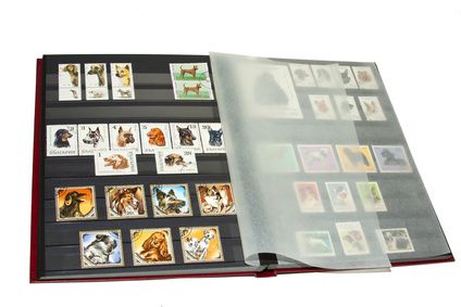 How to organize your postage stamp collection Stamp Album Ideas, Stamp Collecting Storage, Stamp Collection Display, Stamp Collection Ideas, Diy Hobby Lobby, Travel Scrapbook Ideas, Newspaper Paper, Postage Stamp Collecting, Loose Leaf Binder