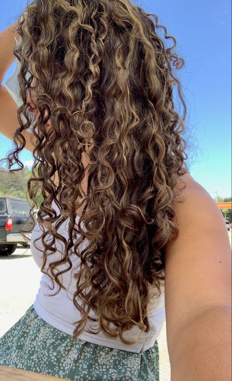 Highlighted curly hair Highlighted curly hair, curly hair inspo, 3a curls, honey highlights, long curly hair Blonde Highlights Curly Hair, 3a Curls, 2025 Board, Honey Highlights, Highlights Curly, Dark Curly Hair, Dyed Curly Hair, Natural Curly Hair Cuts, Highlights Curly Hair