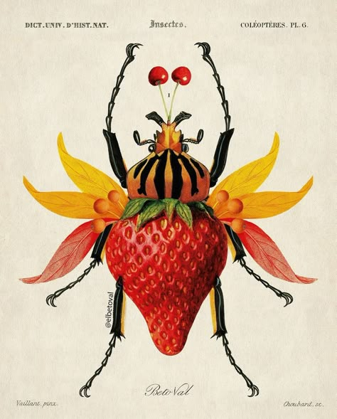 Instagram Fruit Surrealism, Oranges Drawing, Vintage Surrealism, Surrealism Design, Insect Drawings, 2023 Prints, Insect Painting, Insects Art, Surrealism Collage