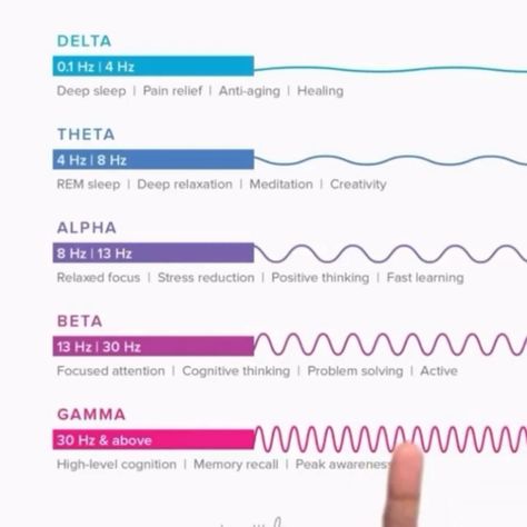 Brain waves and the brain wave used in Theta healing therapy Wave Alpha, Theta Waves, Theta Healing, Money Flow, Healing Therapy, Brain Waves, Your Brain, The Brain, The Money