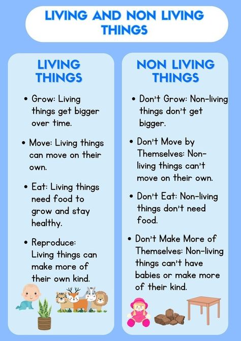 Living Things And Non Living Things Worksheet For Grade 1, Living Things Kindergarten, Living And Nonliving Activities, Living And Non Living Things Worksheets, Living Things And Non Living Things, Non Living Things, Living And Nonliving Things, English Pronouns, Kids Learning Alphabet