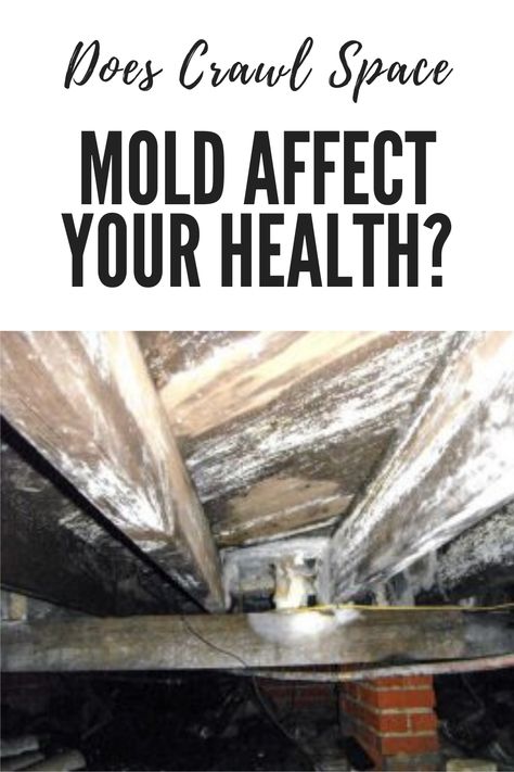 Does Crawl Space Mold Affect Your Health? Encapsulated Crawl Space, Mold In Crawl Space, Crawl Space Ideas, Crawl Space Repair, Crawl Space Encapsulation, Mold Exposure, Toxic Mold, Types Of Mold, Asthma Symptoms