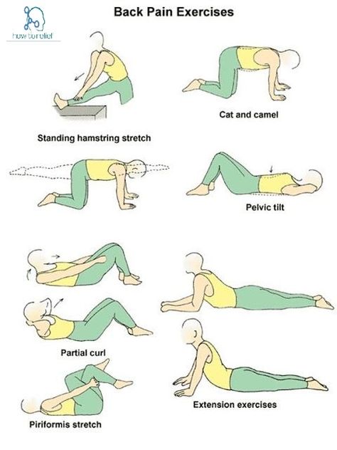 Low Back Pain Exercises, Physiotherapy Exercises, Yoga Poses For Back, Middle Back Pain, Back Stretches For Pain, Acupressure Massage, Physical Therapy Exercises, Yoga For Back Pain, Upper Back Pain