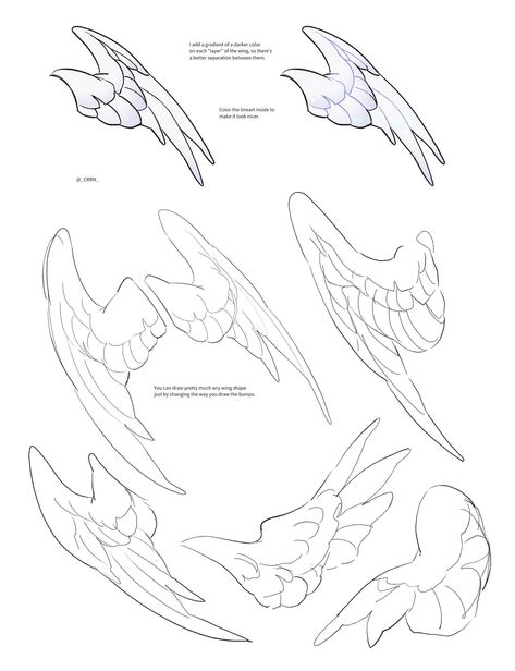 Bird Wing Anatomy Drawings, Wing Anatomy Angels, Waist Wings Drawing, Wing Cloak Concept Art, Bird Wings Sketch, Wings Art Tutorial, Avian Humanoid Wings, Wing Structure Drawing, Harpy Reference Drawing