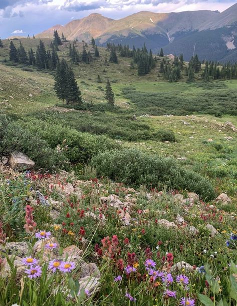 Colorado Aesthetic, Colorado Summer, Living In Colorado, Pretty Landscapes, Geocaching, Garden Cottage, Bergamo, Nature Aesthetic, Pretty Places