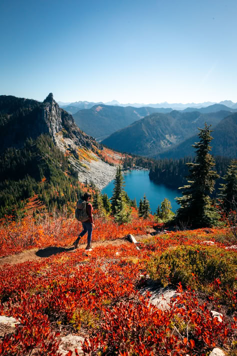 Looking for epic larch marches and tons of autumn color… here are my favorite Washington Fall hikes! Autumn Hiking Aesthetic, Washington Hiking Aesthetic, Fall Hiking Aesthetic, Hiking In Washington State, Washington State Aesthetic, Dark Forest Wedding, Washington Fall, Washington Adventures, Washington Hiking