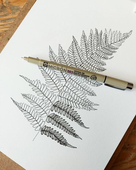 Fern Drawing Tattoo, Bracken Fern Drawing, Fern Pen Drawing, Fern Tattoo Drawing, Easy Fern Drawing, Fern Tattoo Linework, Fern Art Drawing, Fern Leaves Drawing, Fern Plant Drawing