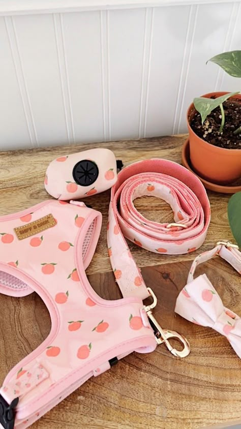 Cute Dog Harness, Puppy List, New Puppy Checklist, Puppy Dachshund, Preppy Dog, Dog Corner, Puppy Mom, Pet Spaces, Puppy Accessories