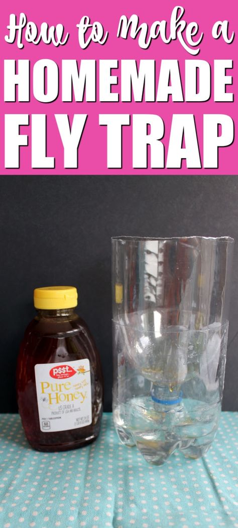 Turn an old plastic bottle into a homemade fly trap in minutes! This easy project will eliminate the flies from your home this summer! #summer #flies #flytrap #flyrepellent #pests Homemade Fly Traps Indoor, How To Repel Flies, House Fly Traps, Fly Repellant Diy, Flies Trap Diy, Homemade Fly Traps, Natural Fly Repellant, Fruit Fly Trap Diy, Diy Fly Trap