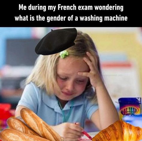 French Teacher, Magnum Opus, School Memes, How To Speak French, Oui Oui, Learn French, Just Funny, Random Memes, Relatable Stuff