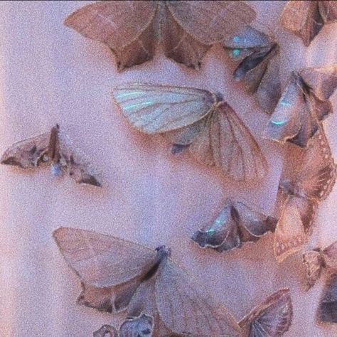 Pink Butterfly Aesthetic, Eros Psyche, Eros And Psyche, Flying Butterflies, Butterfly Aesthetic, Aesthetic Header, Natural Design, Pink Butterfly, Nature Design