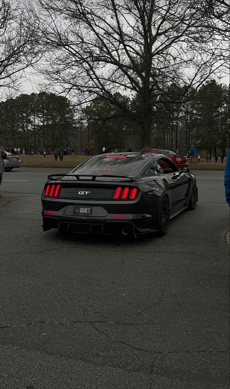 Mustang 500 Shelby Gt500, Gt Mustang Shelby Gt500, Ford Mustang Gt Shelby 500, Black Ford Mustang Gt, Mustang Gt 500 Shelby Gt500, Gt 500 Mustang, All Black Mustang Gt, Ford Mustang Gt Aesthetic, Mustang Ford Gt