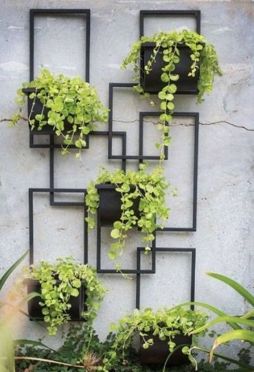 Glass terrariums filled with small plants, pebbles, and moss can be hung using transparent strings or delicate chains. Wall Plant Pot, Wall Planters Outdoor, Patio Wall Decor, Wall Plant Holder, Hanging Plants Outdoor, Metal Wall Planters, Indoor Plant Wall, Planters Outdoor, Hanging Planters Indoor