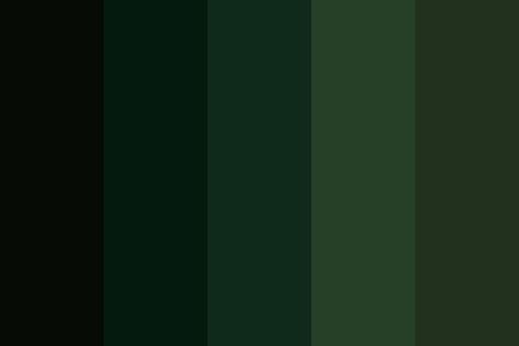 Green Color Palette Aesthetic, Dark Forest Color Palette, Forest Color Palette, Dark Academia Color Palette, Dark Academia Color, Color Palette Aesthetic, Palette Aesthetic, Dark Color Palette, Email Examples