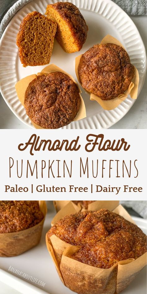 Pumpkin muffins healthy Pumpkin Muffins Almond Flour, Dairy Free Pumpkin Muffins, Muffins Made With Almond Flour, Almond Flour Pumpkin Muffins, Almond Flour Pumpkin, Healthy Pumpkin Muffins, Paleo Pumpkin Muffins, Dairy Free Muffins, Gluten Free Banana Muffins