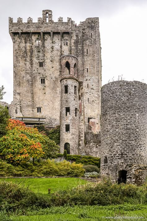 Blarney Stone Ireland, Blarney Ireland, Celtic Castle, Blarney Castle Ireland, Ireland Castle, Ireland Castles, Ireland Aesthetic, Blarney Castle, Castle Ireland