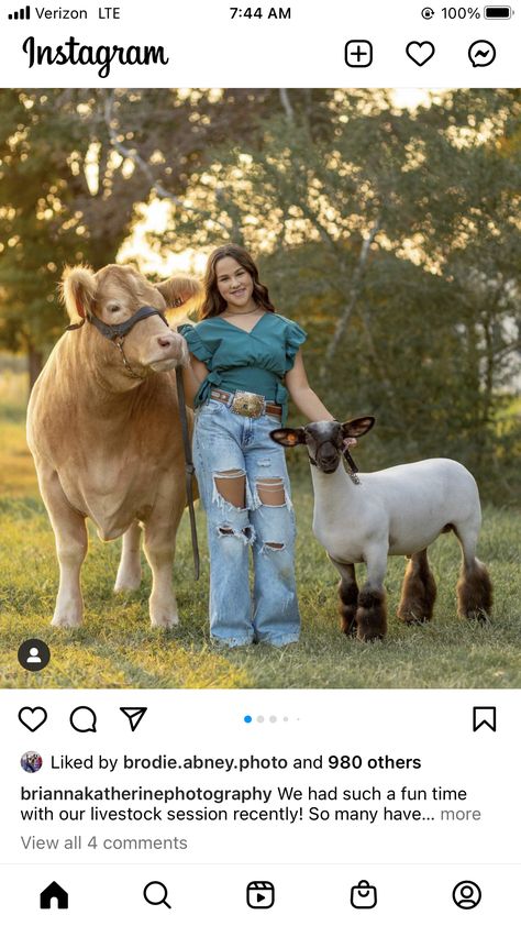 Showing Cattle Outfits, Steer Senior Pictures, Livestock Photographer Aesthetic, Cattle Showing Outfits, Show Lamb Photoshoot, Livestock Pictures Senior Pics, 4h Senior Picture Ideas, Show Day Hairstyles Livestock, Cattle Photoshoot