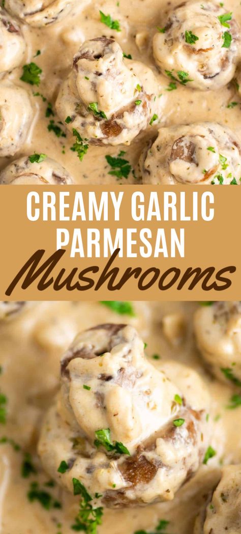 Garlic Mushrooms Recipes, Mushroom Side Dishes, Mushrooms Recipes, Cream Cheese Sauce, Creamy Garlic Mushrooms, Mushroom Recipes Healthy, Mushroom Cream Sauces, Garlic Cream Sauce, Mushroom Dish