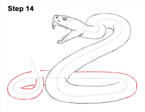 Snake Line Drawing, How To Draw Snakes, Rattlesnake Drawing, Western Art Ideas, Snake Draw, Reptile Drawing, Snake Sketch, Diamondback Rattlesnake, Draw So Cute