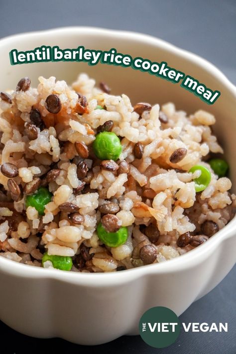 Lentil Barley Rice Cooker Meal - The Viet Vegan Lentils In Rice Cooker, Lentils And Brown Rice, Barley Rice, Budget Vegan, Cooking Grains, Barley Recipe, Vegetarian Chicken, Rice Cooker Recipes, Lentils And Rice