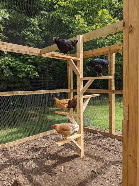 Building Yourself, Chicken Perches, Chicken Roost, Cute Chicken Coops, Chicken Shed, Chicken Coop Garden, Backyard Chicken Coop Plans, Diy Chicken Coop Plans, Chicken Coup