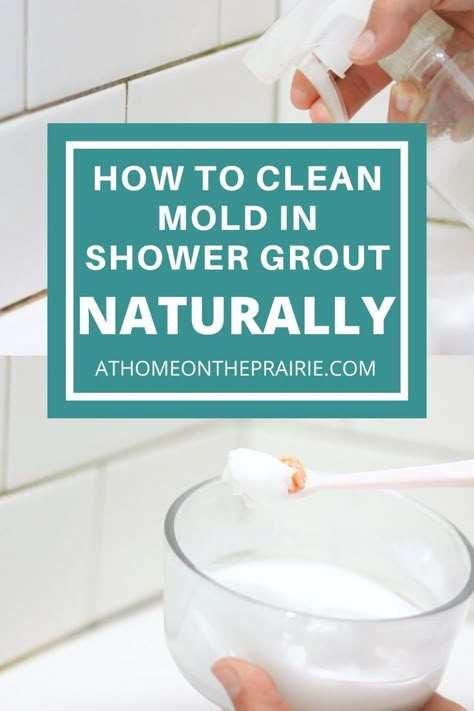 Cleaning Shower Grout Remove Mold, How To Clean Shower Mold And Mildew, Mold On Grout Cleaning Tips, How To Clean Moldy Shower Grout, Bathroom Shower Cleaner, Best Way To Clean Moldy Grout, Moldy Shower Cleaning, Grout Paste Cleaner, How To Clean Moldy Grout In Shower Tile