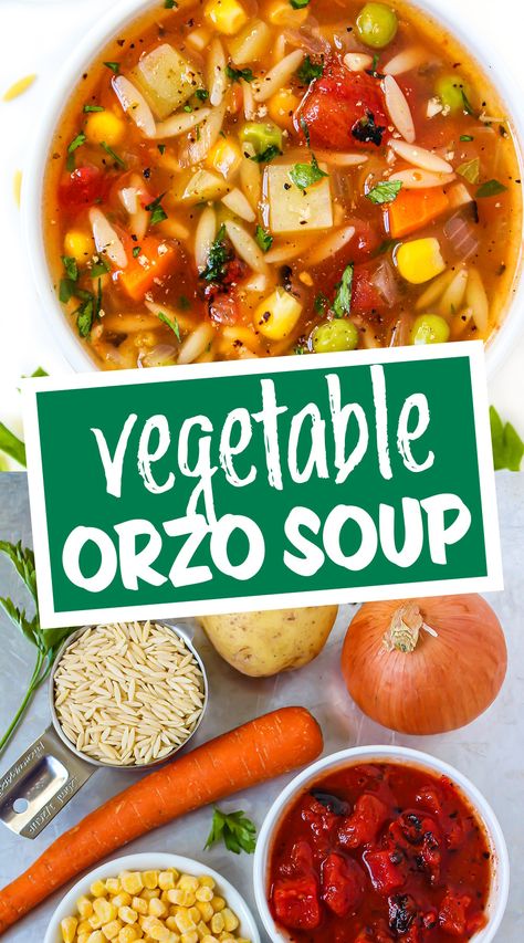 Vegetable Orzo Soup (Easy!) Roasted Tomato Vegetable Soup, Vegan Orzo Soup, Vegetable Orzo Soup, Vegetable Orzo, Vegan Weeknight Meals, Healthy Vegan Soup, Garden Grazer, Orzo Soup Recipes, Soups And Chilis