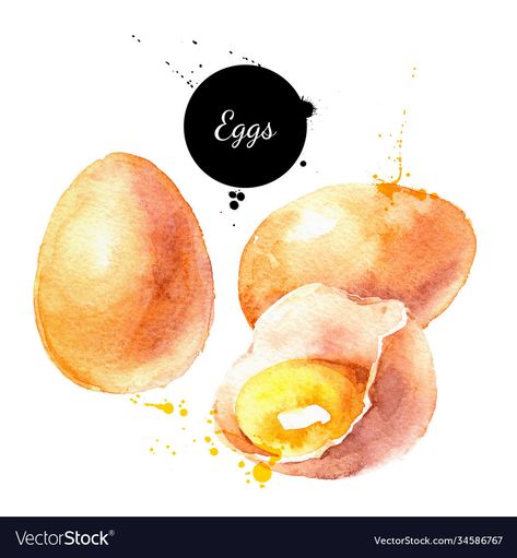 Eggs Drawing, Watercolor Eggs, Egg Drawing, Watercolour Food, Egg Watercolor, Eco Food, Product Illustration, Food Sketch, Art Tutorials Watercolor