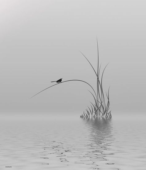 Water Birds Drawing, Black And White Aesthetic Landscape, Tranquil Photography, Black And White Landscape Painting, Zen Art Inspiration, Calm Photography, Bird Black And White, Watercolor Black And White, Bird Silhouette Art